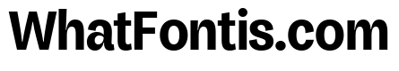 Honesta Bold