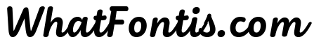 Didactica Cursive Black Italic