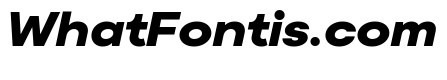 Moderat Extended Black Italic