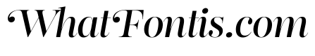 Reina Neue Medium Italic