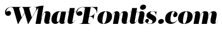 Reina Neue Black Italic