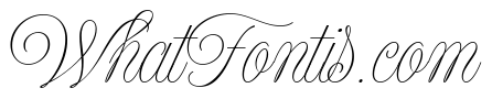 Model Subhead