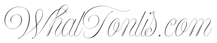 Model Banner