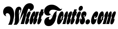 Feline Extra Black Sharp