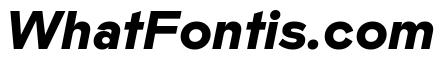 Landform Black Italic