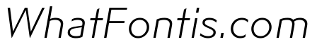 Adjunct Light Italic