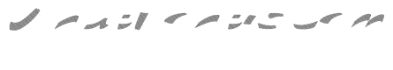 Zebra C