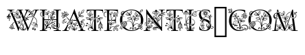 Posies Initial