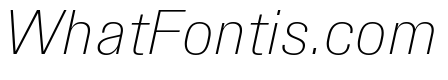 Synergy Thin Italic