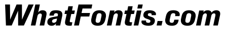 Synergy Bold Italic