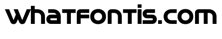 Neotype Bold