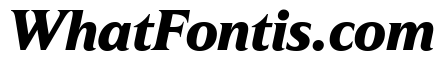 Hardcover Bold Italic