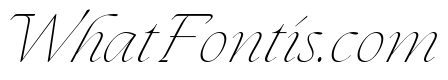 The Seasons Thin Italic