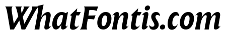 The Henston Bold Italic