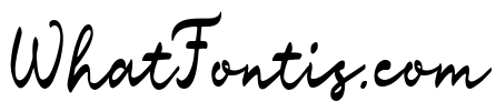 Scandiebox Script Speedball Regular