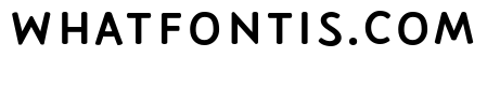 Palomino Sans Two Clean