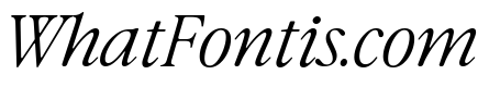 Differently Regular Italic