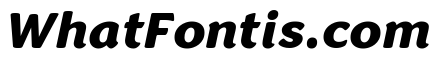 Congenial Black Italic