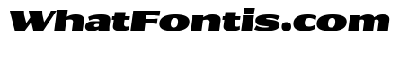 Collier Sans Extra Wide Ultra Italic