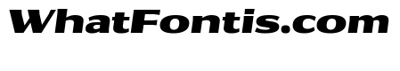 Collier Sans Extra Wide Black Italic