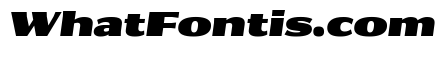 Collier Sans Extra Extended Ultra Italic