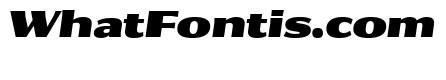 Collier Sans Extra Extended Extra Black Italic