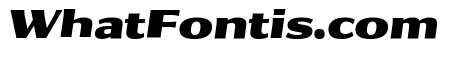 Collier Sans Extra Extended Black Italic