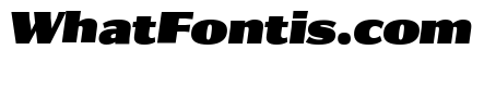 Collier Sans Extra Condensed Ultra Italic