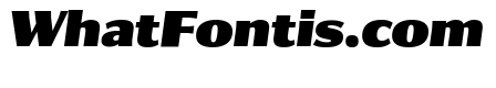 Collier Sans Extra Condensed Extra Black Italic