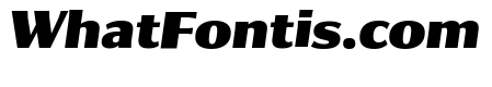 Collier Sans Extra Condensed Black Italic