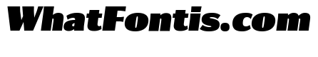 Collier Sans Extra Compressed Ultra Italic