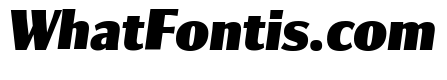 Collier Sans Extra Compressed Black Italic