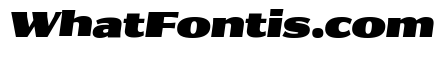 Collier Sans Extended Ultra Italic