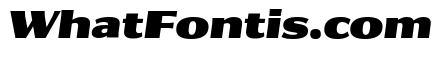 Collier Sans Extended Extra Black Italic