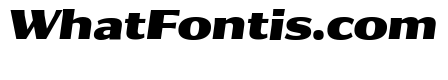 Collier Sans Extended Black Italic