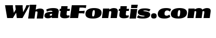 Collier Sans Condensed Ultra Italic