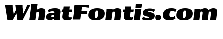 Collier Sans Condensed Extra Black Italic