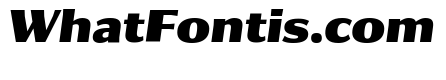 Collier Sans Condensed Black Italic