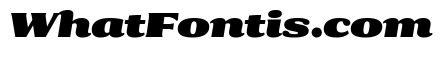 Collier Extra Extended Ultra Italic