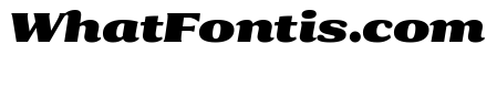 Collier Extra Extended Extra Black Italic