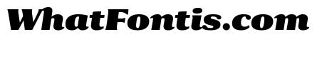 Collier Condensed Extra Black Italic