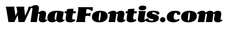 Collier Compressed Ultra Italic