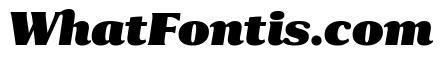 Collier Compressed Extra Black Italic