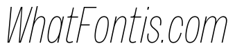 Sundry Narrow Thin Italic