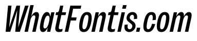 Sundry Narrow Medium Italic
