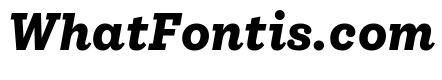 IvyStyle Typewriter Bold Italic