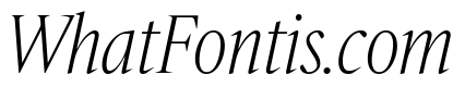 IvyMazarin Big Thin Italic