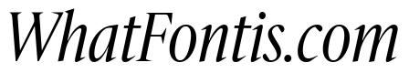 IvyMazarin Big Light Italic
