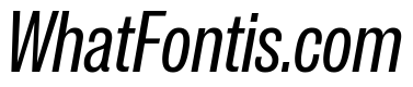 IvyGrotesque Regular Italic