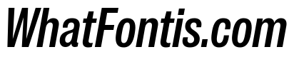 IvyGrotesque Medium Italic